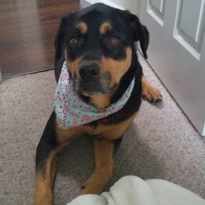 Meet your Posher, Nancy